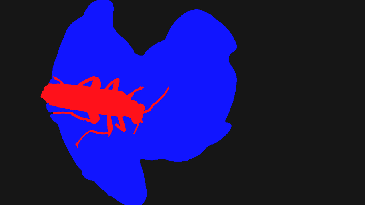 Celandine or woods poppy