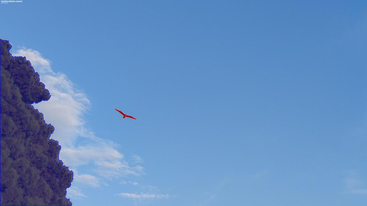 Seagull flying near trees